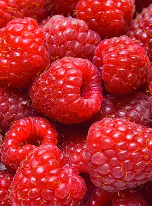 Artisanal Berry Collection: Small-Batch Quality